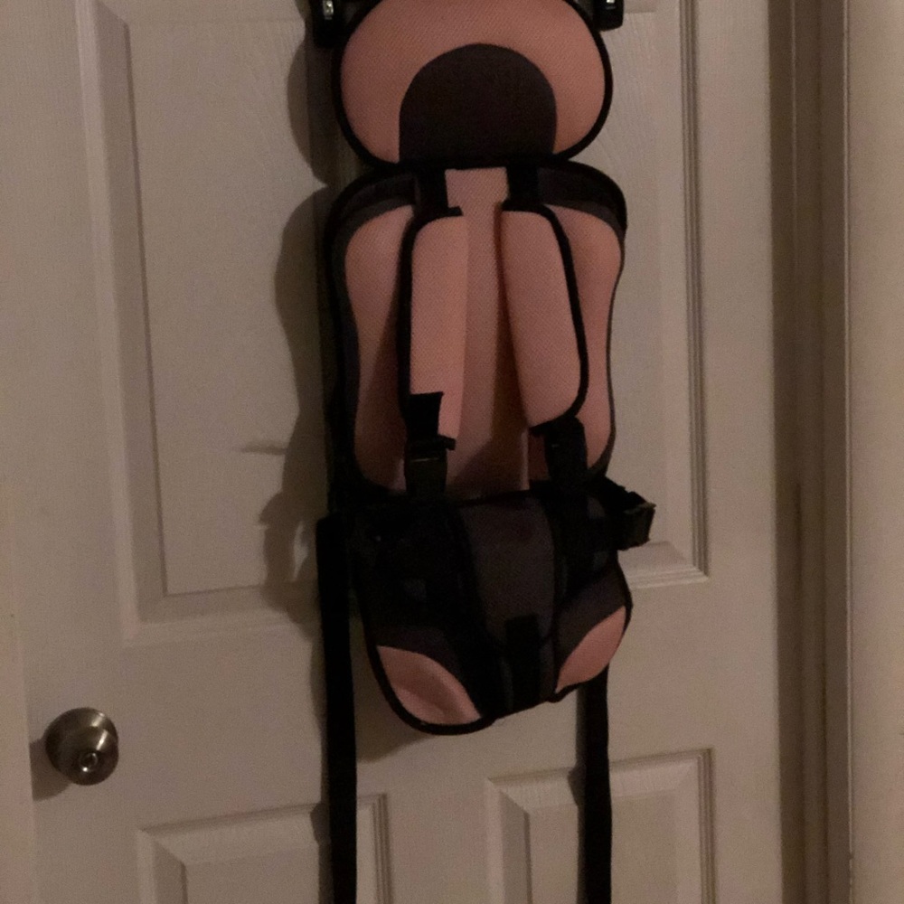 Pink and Black Car Seat Harness.